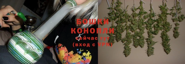 амф Надым
