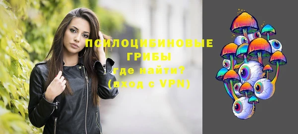 амф Надым