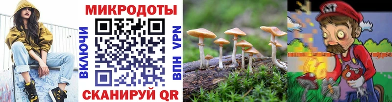 Галлюциногенные грибы мицелий  купить   мега зеркало  Болохово 