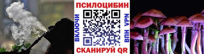 Галлюциногенные грибы Psilocybine cubensis Болохово