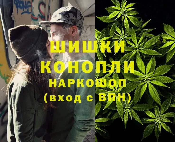 darknet как зайти  Болохово  Конопля White Widow  наркотики 